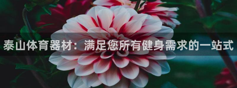 尊龙凯时 人生就是搏!：泰山体育器材：满足您所有健身