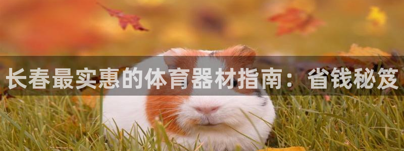 尊龙凯时能不能提现?：长春最实惠的体育器材指南：省钱