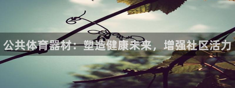 尊龙凯时官网：公共体育器材：塑造健康未来，增强社区活