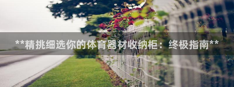 尊龙凯时人生就是搏包装优势：**精挑细选你的体育器材