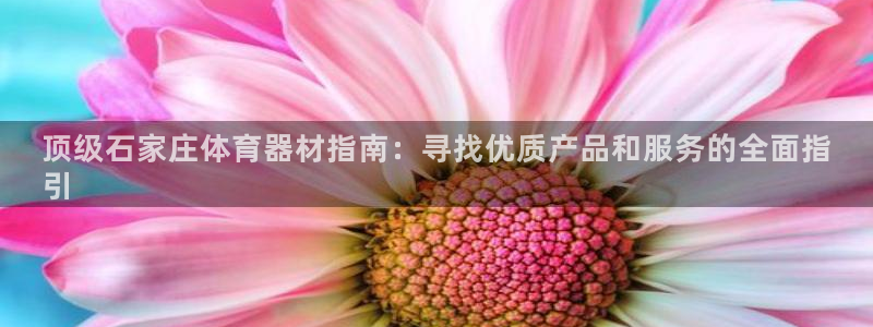 尊龙d88平台登录：顶级石家庄体育器材指南：寻找优质
