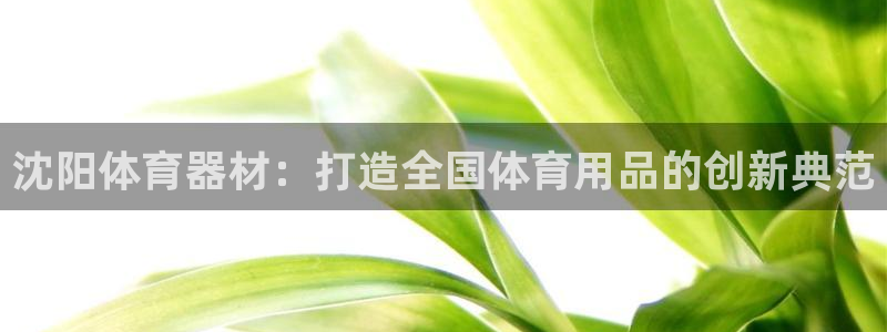 d88尊龙平台开户