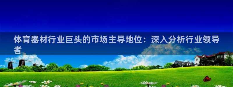 尊龙网站注册网：体育器材行业巨头的市场主导地位：深入