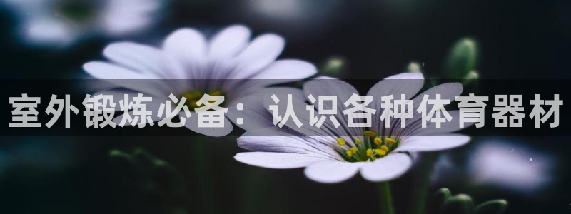 尊龙人生就是博AG：室外锻炼必备：认识各种体育器材