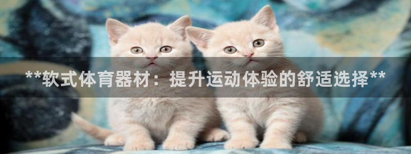 尊龙d88官网so问来就送38：**软式体育器材：提升运动体