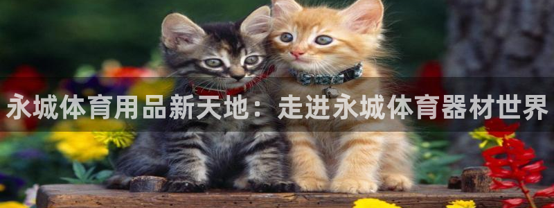 尊龙光学怎么样