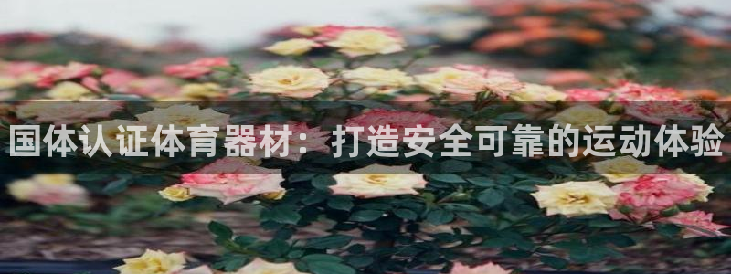 尊龙官方网站首页：国体认证体育器材：打造安全可靠的运