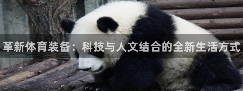 尊龙凯时代理官网入口