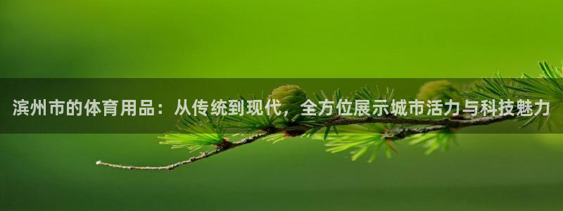 尊龙 am i blue：滨州市的体育用品：从传统到现代，全