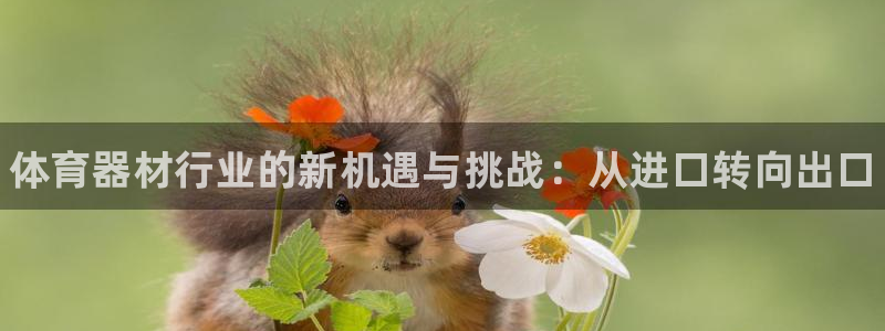 尊龙ag旗舰：体育器材行业的新机遇与挑战：从进口转向
