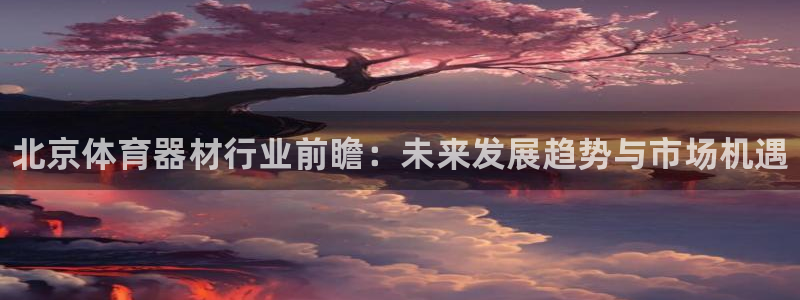 凯时AG网：北京体育器材行业前瞻：未来发展趋势与市场