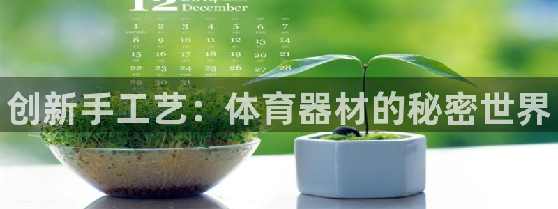 尊龙凯时人生就是博·(中国)官网官：创新手工艺：体育
